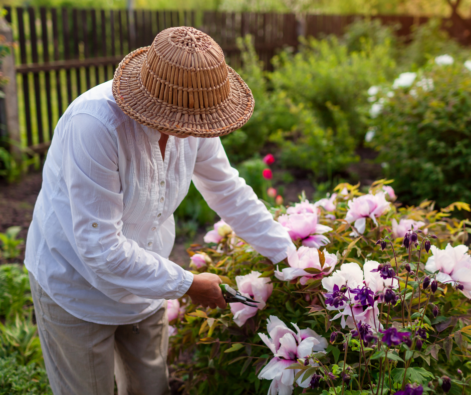 Take advantage of Florida's winter climate by participating in community gardening programs for seniors. Learn how outdoor gardening activities in senior living communities foster social interaction, physical exercise, and mental well-being in the cooler months.